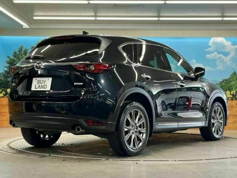 CX-5-17