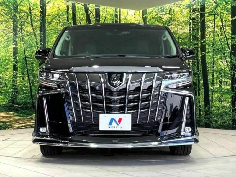 ALPHARD-15