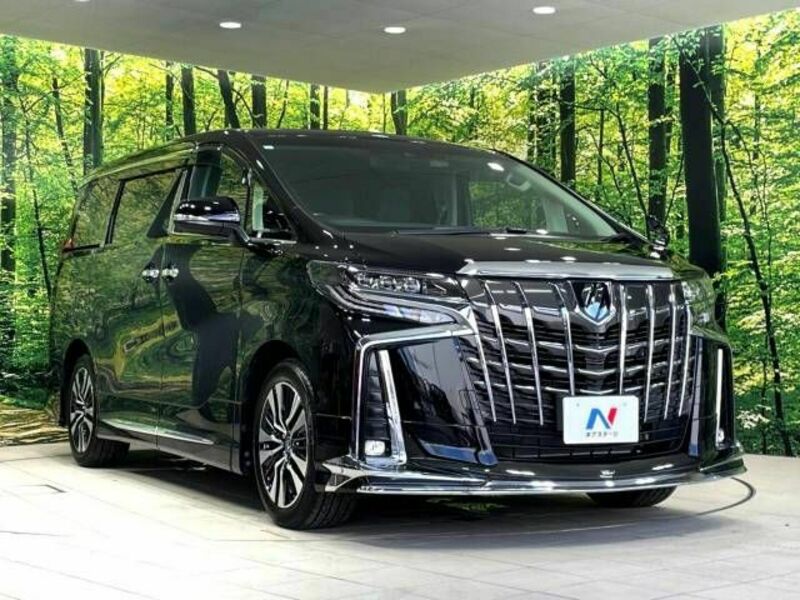 ALPHARD-17