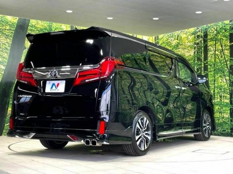 ALPHARD-18