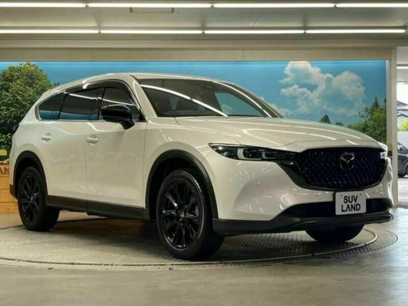 CX-8-16