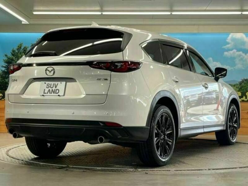 CX-8-17