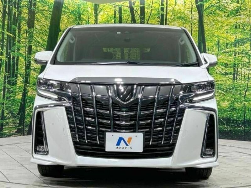 ALPHARD-15