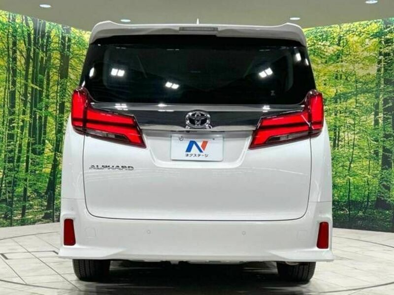 ALPHARD-16