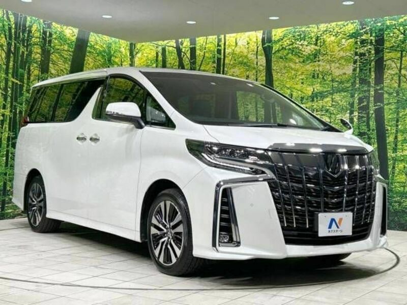 ALPHARD-17