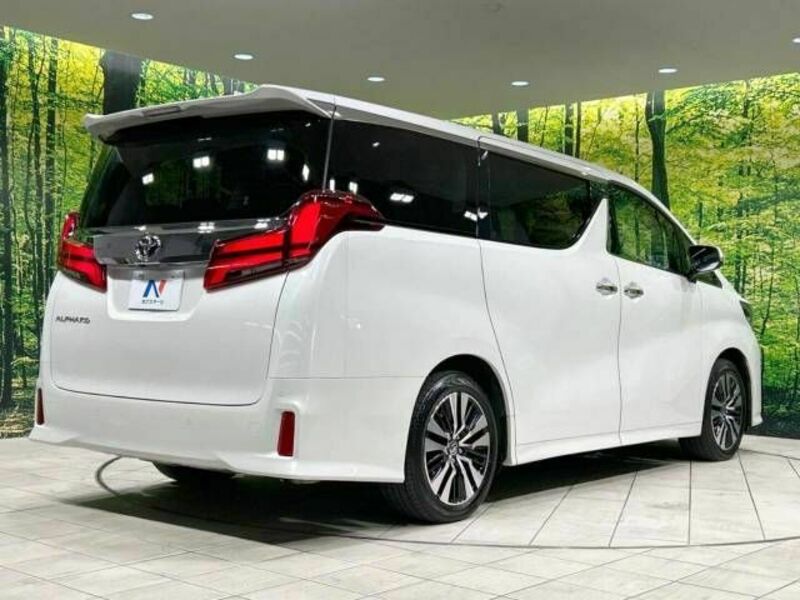 ALPHARD-18