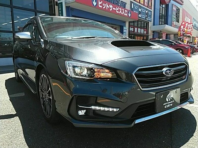 LEVORG-6