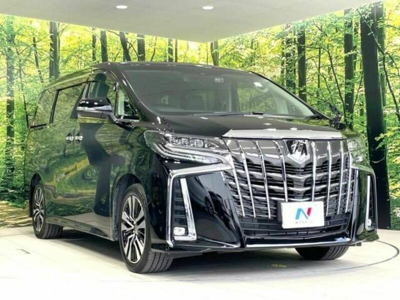 ALPHARD-17