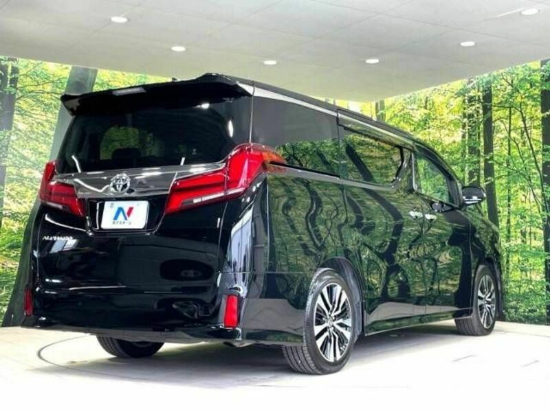 ALPHARD-18