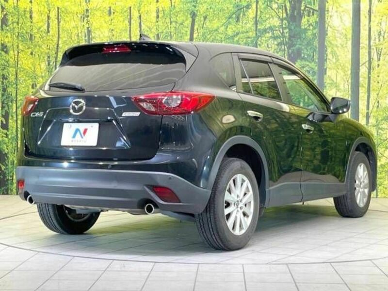 CX-5-17