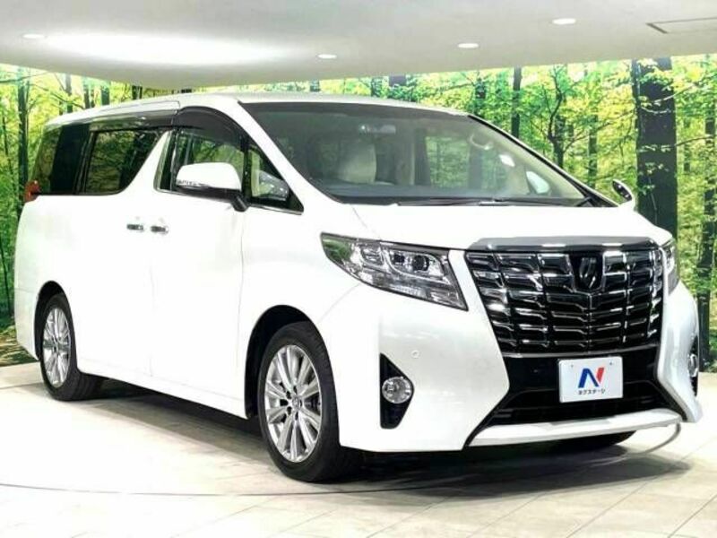 ALPHARD-17