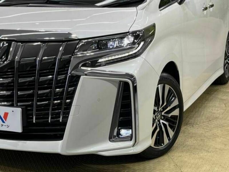 ALPHARD-13