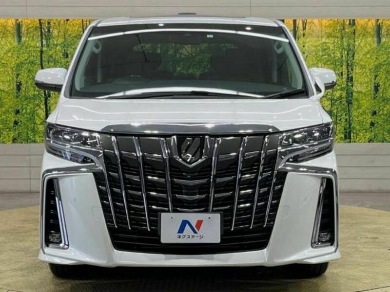 ALPHARD-15