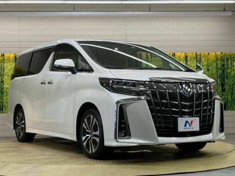 ALPHARD-17