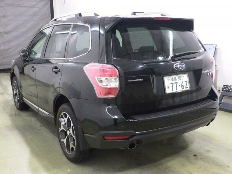 FORESTER-1