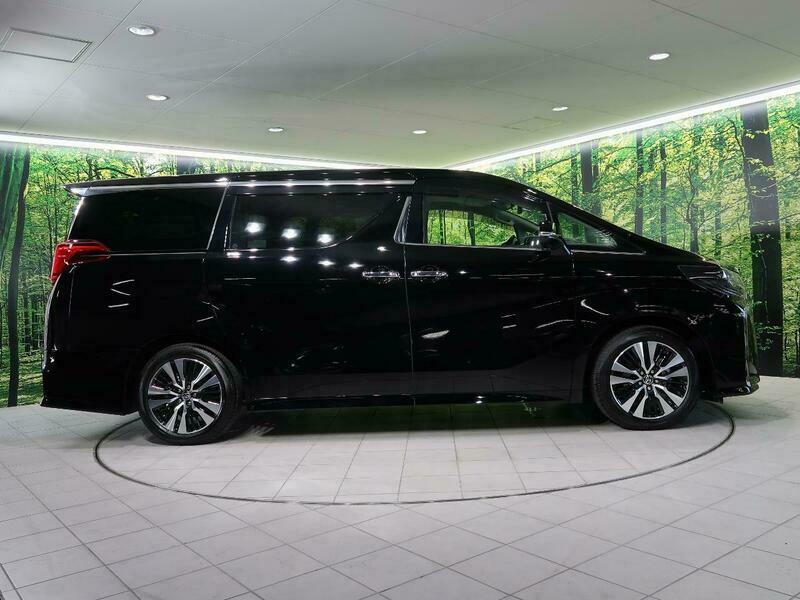 ALPHARD-66