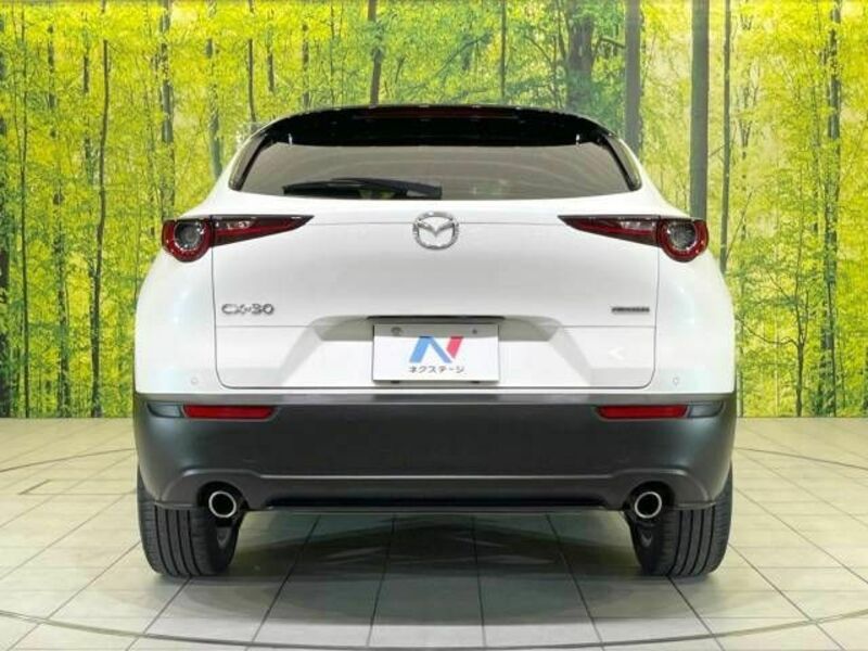 CX-30-15