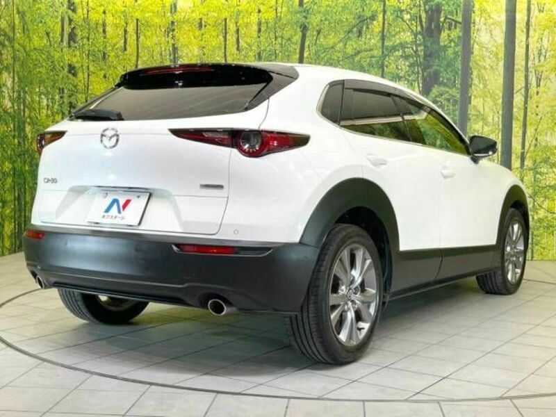 CX-30-17