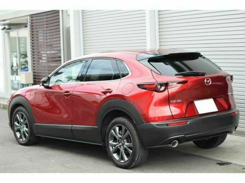 CX-30-2