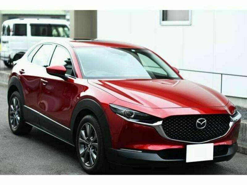 CX-30-4