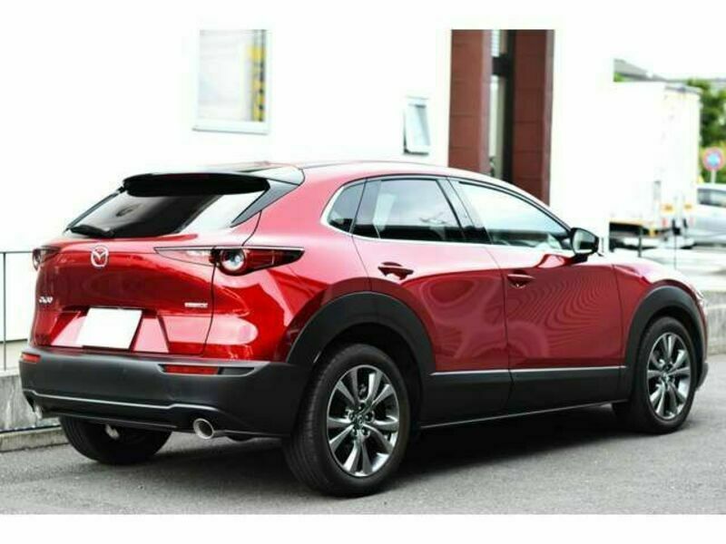 CX-30-8