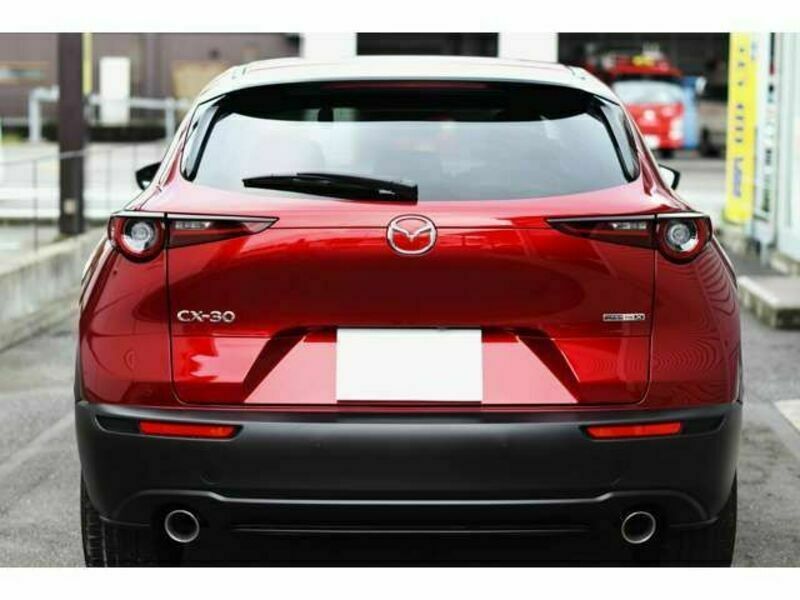 CX-30-10