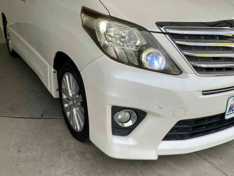 ALPHARD-18