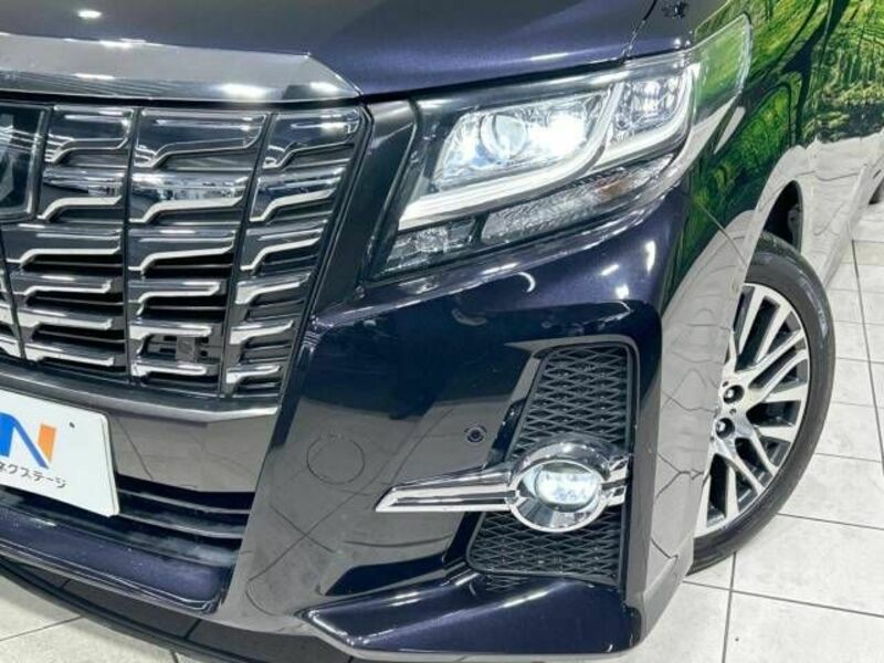 ALPHARD-13