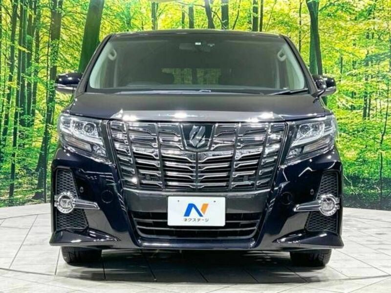 ALPHARD-15