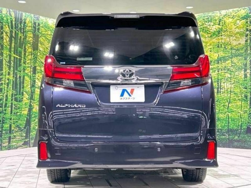 ALPHARD-16