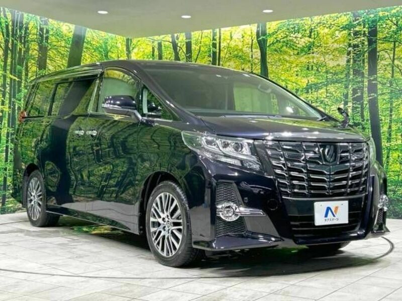 ALPHARD-17