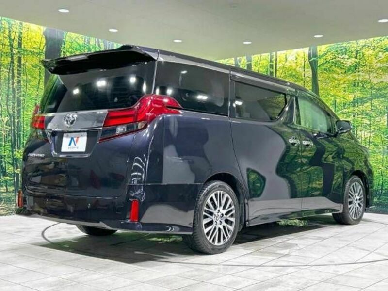 ALPHARD-18