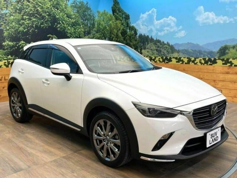 CX-3-16