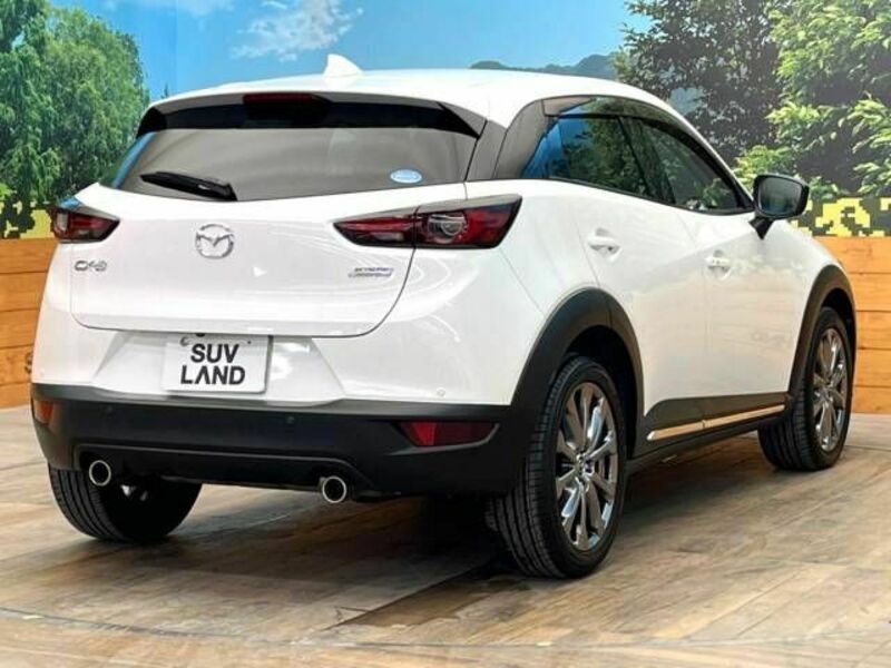 CX-3-17