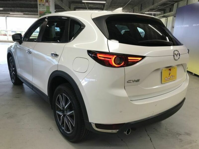 CX-5-6