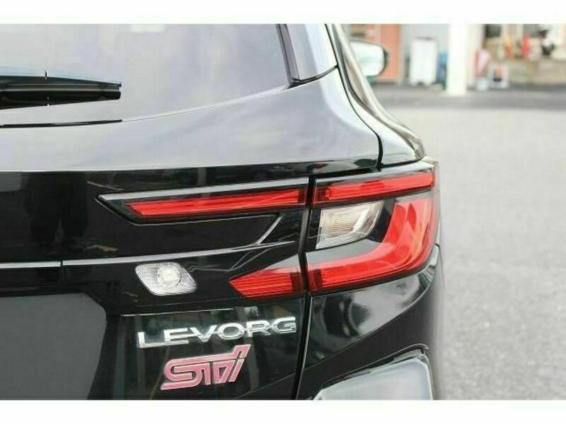 LEVORG-12