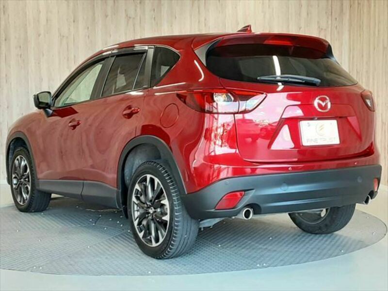 CX-5-19