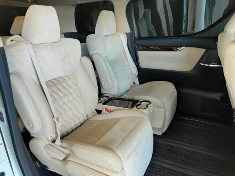 ALPHARD-10