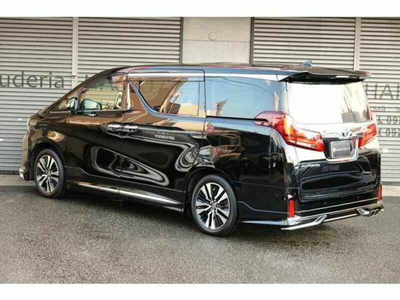 ALPHARD-6