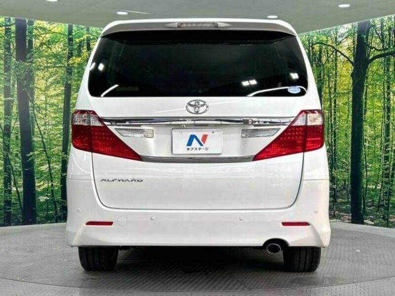 ALPHARD-16