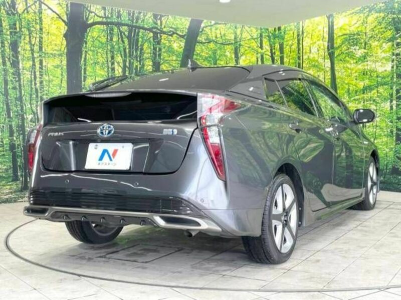 PRIUS-17