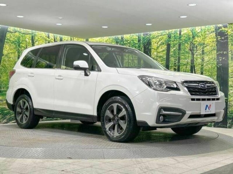 FORESTER-16