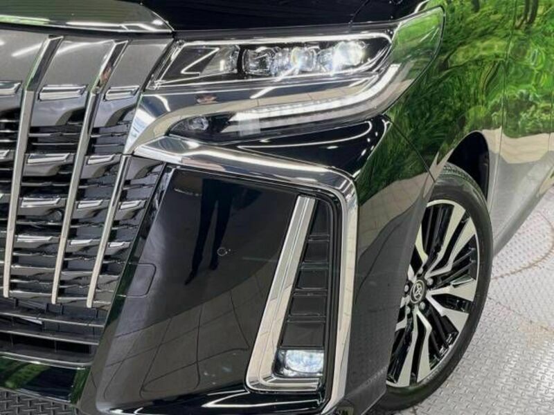 ALPHARD-12