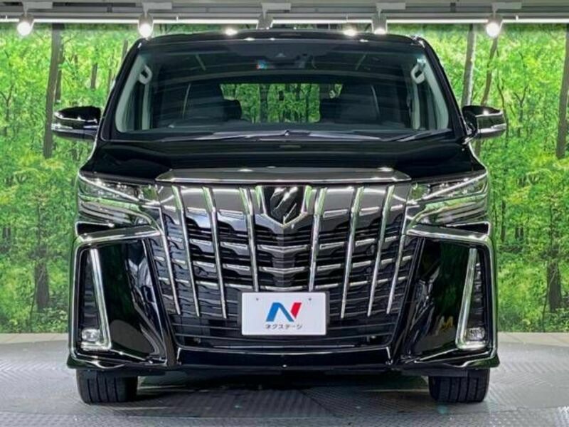 ALPHARD-14