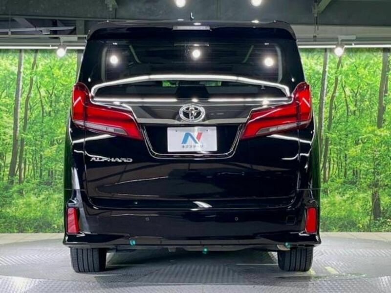 ALPHARD-15