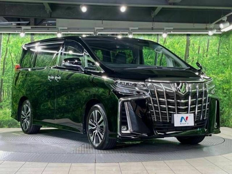 ALPHARD-16