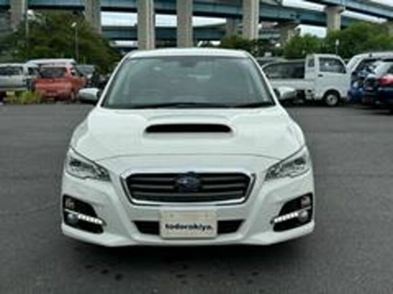 LEVORG-3