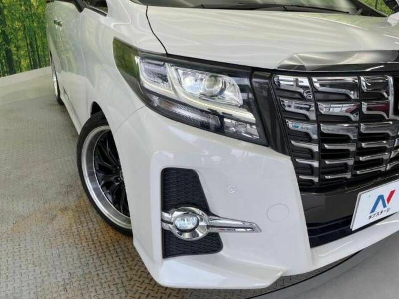 ALPHARD-13