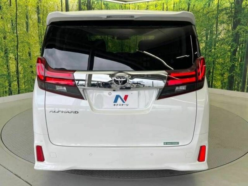 ALPHARD-16