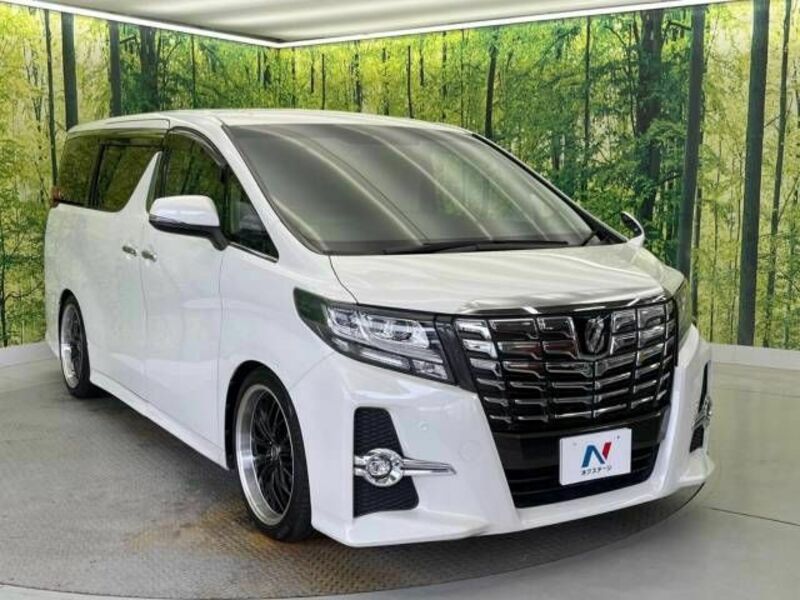 ALPHARD-17